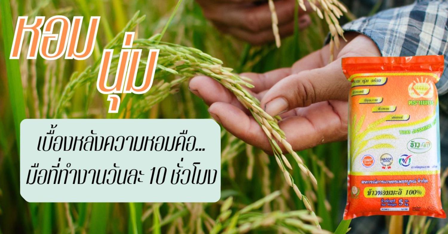 รูปกิจกรรมสหกรณ์